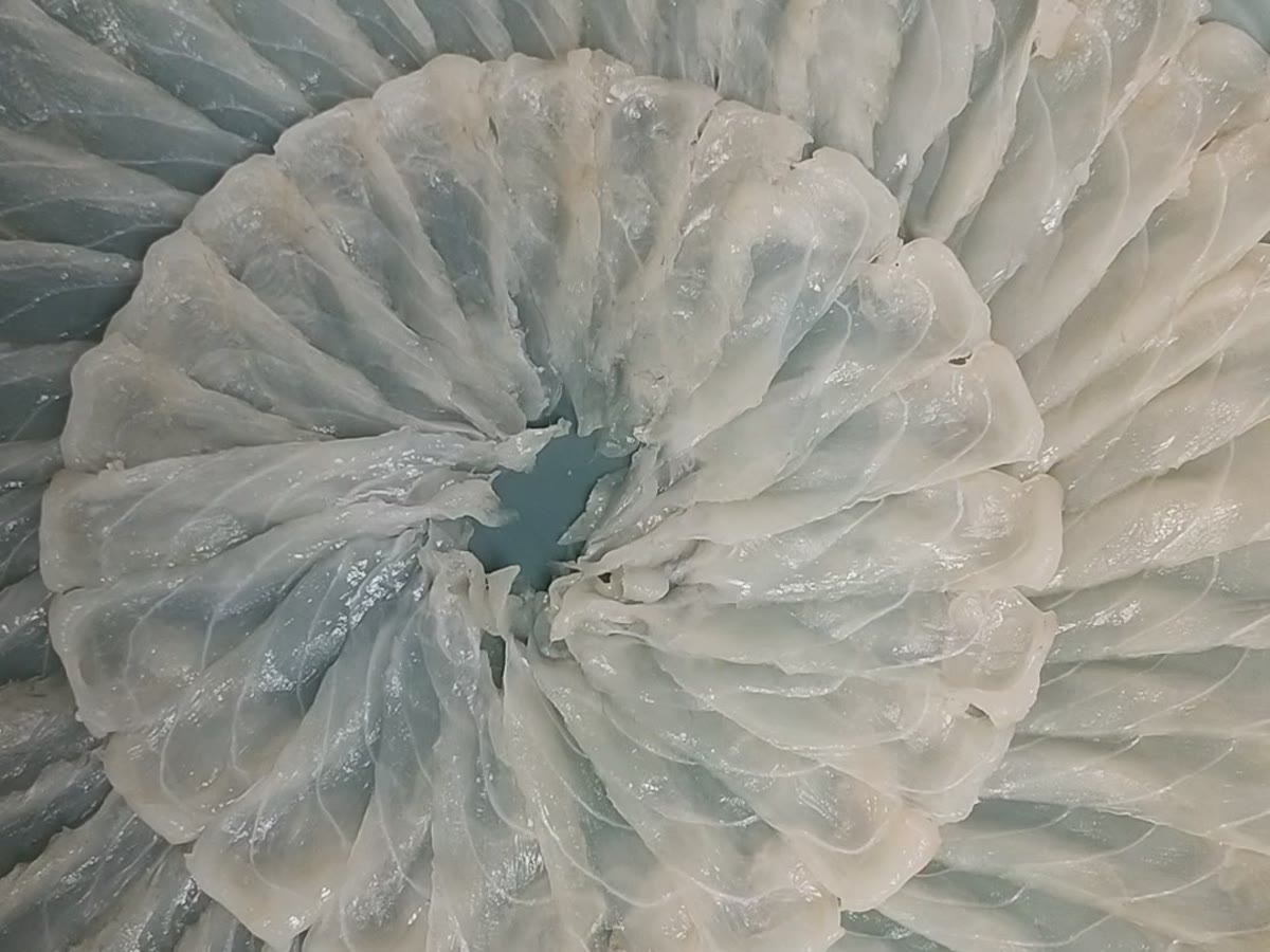大皿に菊の花のように盛り付けたとらふぐの刺身